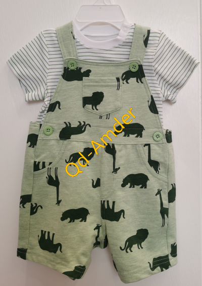 Boys 2pc Shortall sets:NB-24M (Spring)